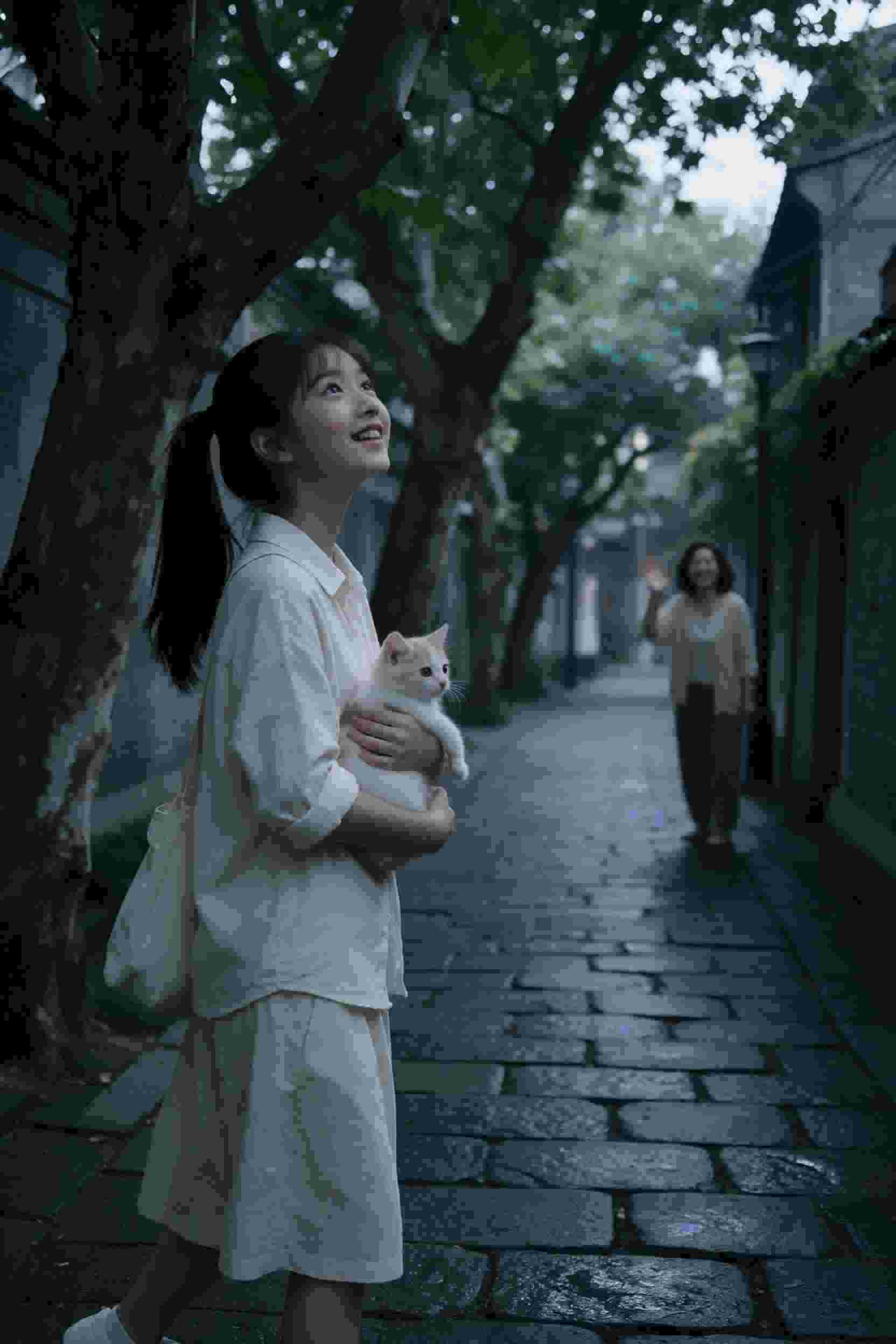 次元邂逅